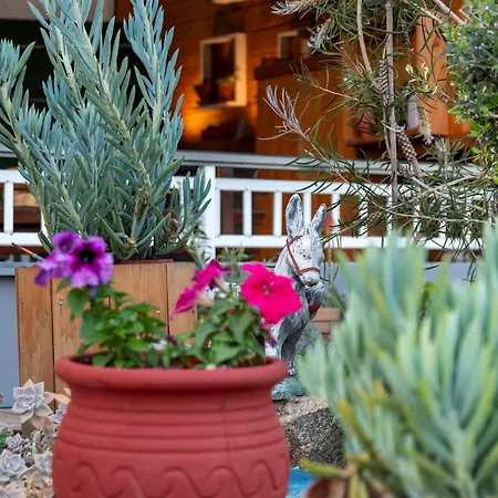 House Niki شقة سارتي