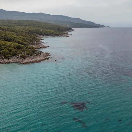 House Niki 아파트 사르티